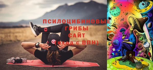 мдпв Алексин