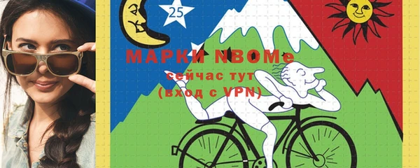 гашик Пестово