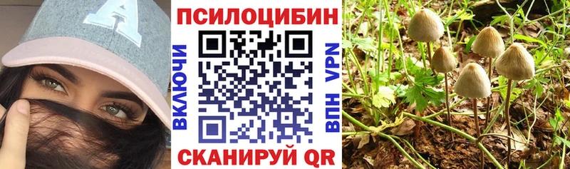 Псилоцибиновые грибы Psilocybine cubensis  Дрезна 